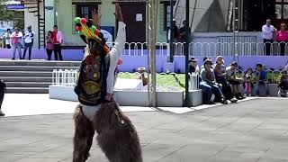 Danza tipica en la mitad del mundo quotEl Diablo Humaquot [upl. by Yetsirhc]