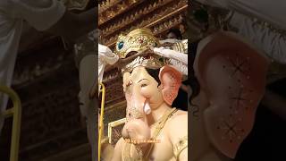 Lalbaug cha raja 20 kg gold mukut lalbaughcharaja ganapatibappamorya youtubeshorts trending [upl. by Hardan]