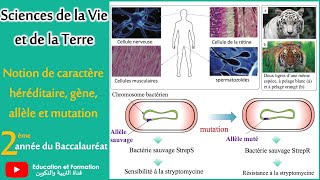 Notion de caractère héréditaire gène allèle et mutation2Bac SVTPCSC Math a [upl. by Nodnelg583]