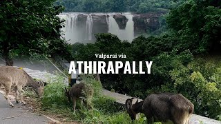 Valparai to Athirapally Dangerous forest route athirapally tourist place athirappilly valparaiso [upl. by Rekyr]