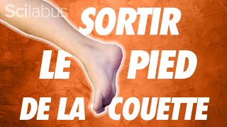 Pourquoi sortir le pied de la couette estil si efficace [upl. by Ennybor842]