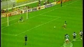 MEXICO VS ARGENTINA FINAL COPA AMERICA 1993 [upl. by Aivatan460]