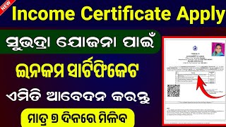 How To Apply Income Certificate In Online  Income Certificate Apply Online For Subhadra Yojana [upl. by Aicenat578]