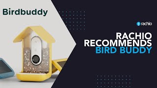 Rachio Recommends Bird Buddy [upl. by Safire]