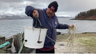 Collecting Whelks and visiting a favourite old mark [upl. by Bernelle826]