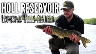 First Proper Scottish Pike Holl Reservoir Lomond Hills Fishery Fife [upl. by Ardnahc]