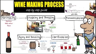 Wine making process step by step Detail guide of wine makingpreparation and making of wine [upl. by Martreb900]