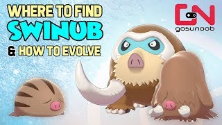 Where to find Swinub Piloswine amp How to Evolve Into Mamoswine  Pokemon Sword and Shield Evolution [upl. by Normak]