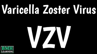 Varicella Zoster Virus  Chickenpox amp Shingles  Herpes Zoster  Causes Symptoms Of VZV [upl. by Eatnoled892]