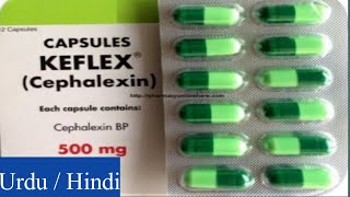 Keflex Cephalexin Capsules uses side effects and Warning [upl. by Nuahsed187]