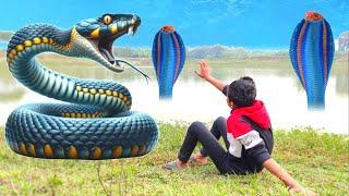 Anaconda Snake Attack On Village Boy In Forest  Part 2 [upl. by Ylagam]