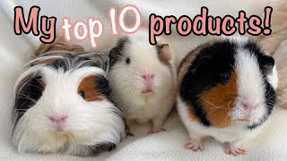 My top 10 favorite guinea pig products [upl. by Sayer956]