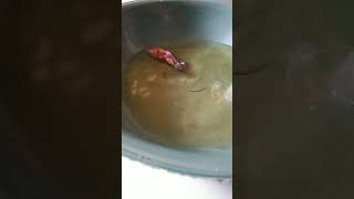 Mengecek sirop ikan cupang [upl. by Nata]