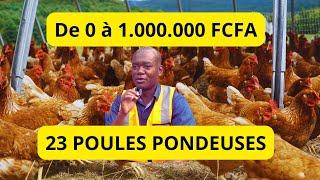 De 0 à 1 000 000 avec 23 POULES PONDEUSES Seulement INCROYABLE mais VRAI [upl. by Odlanor896]