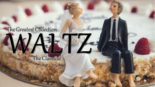 Greatest Waltz Classical Music Compilation [upl. by Airotnahs]