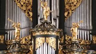 Sietze de Vries  Stille Zaterdag Orgeltocht Zutphen Baderorgel Bach O Mensch bewein [upl. by Mulac692]