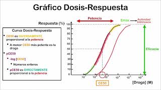 Farmacodinamia  Gráfico dosis respuesta [upl. by Annaehs]