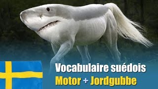 Konstiga Kombinationer  Vocabulaire suédois  Motor  Jordgubbe [upl. by Suoivatram]