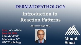 Dermatopathology Introduction to Reaction Patterns w Dr Singh [upl. by Lehmann]