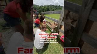 Family Farm Day Magic Adorable Kids and Mini Farm Animal Extravaganza [upl. by Aidualk521]