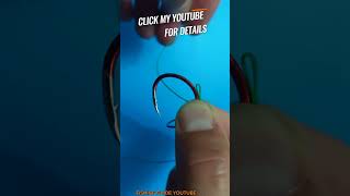 Catching Catfish with Egg Loop Knot is a GAME CHANGER fishing catfish catchingfish diy [upl. by Tegirb]