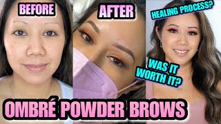 OMBRE POWDER BROW  HEALING PROCESS  OMBRE POWDER BROWS HEALING PROCESS  3 MONTH UPDATE [upl. by Nasho785]