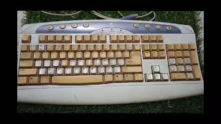 Vintage PS2 port Keyboard retro vintage retrotech90s techgadgets [upl. by Aiceled735]