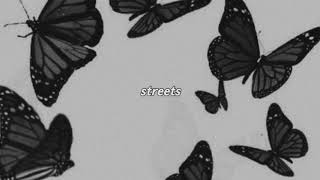 doja cat  streets slowed  lyrics [upl. by Naro]