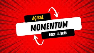 DÜZGÜN ÇEMBERSEL HAREKET  12 TORK  AÇISAL MOMENTUM İLİŞKİSİ [upl. by Vanzant]