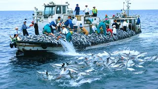 Giant Nets at Sea  How Norwegian Fishermen Conquer Alaskan Seas to Make Hundreds of Dollars a Day [upl. by Amaryllis]