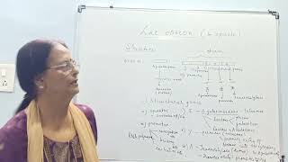 Gene Regulation in Prokaryotes Part2Lac Operon [upl. by Tearle]