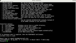 postgresql  how to backup and restore database [upl. by Leotie]