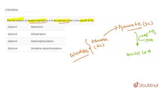 The formation of acetyl coenzymeA from pyruvic acid is the result of its [upl. by Naejamron]