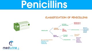 Penicillins classification MOA indications  side effects pharmacokinetics [upl. by Quennie]