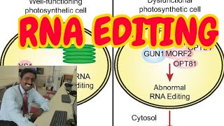 RNA EDITING  TAMIL EXPLNATION [upl. by Ahsaret]