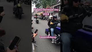 HarleyDavidson day 2024 Leopoldsburg harleydavidson harleydavidsonmotorcycle motorcycle [upl. by Naillig]