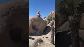 ciat lonbarde tocante thyris on a rock in Joshua Tree National Park [upl. by Sadella289]