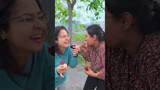 Pulasan vs Rambutan The Ultimate Taste Test Challenge india kerala malaysia mallu vlog [upl. by Hurlee]