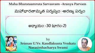 MahaBharatam Aranya Parvam Ch30 Part2 by Kandlakunta Venkata Narasimhacharya swami [upl. by Adnawad225]