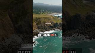 The best coastal hike in Oregon travel oregon oregoncoast [upl. by Lissak]