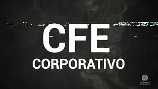 Subsidiarias y filiales Otra separación de CFE [upl. by Lash]