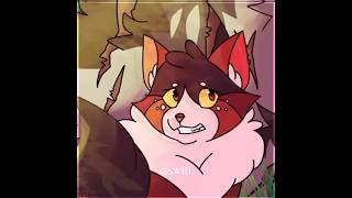 spottedleaf edit 💖💎  warriorcats fypシ゚ catswarrior edit [upl. by Cilka377]