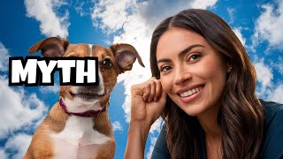 Pet Care Myths EXPOSED  Pawsitive Personals [upl. by Chimene]