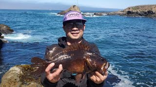 TDD Lure Day Rockfishing the California Coast [upl. by Jacinthe]