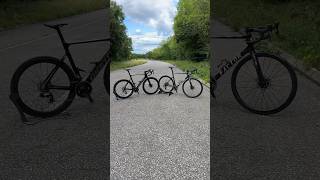 Which you Choosing Giant or Factor shorts cycling bikes [upl. by Japha862]