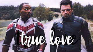 Sambucky  True Love [upl. by Feilak]