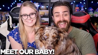 Meet Our Baby Ft Kairi amp Shady Lady ShadyPenguinn [upl. by Larissa]