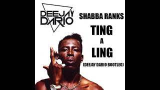 Shabba Ranks  Ting a Ling Deejay Dario REFIX DEEJAY DARIO [upl. by Enilrek]