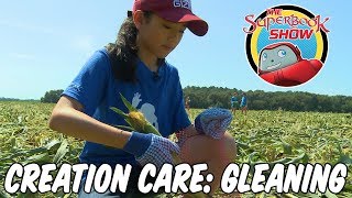 Creation Care Gleaning  The Superbook Show [upl. by Lednahs291]