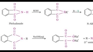 Gabriel phthalimide synthesis  for IIT JEE NEET AIIMS and Board Exams [upl. by Dunstan398]